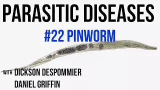 Parasitic Diseases Lectures #22: Pinworm