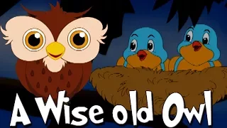 A Wise Old Owl Lived in An Oak Poem | Original Nursery Rhymes | English Rhymes For Children