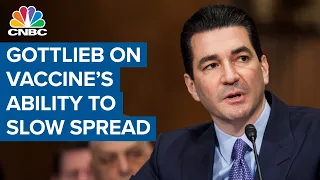 Vaccine's ability to slow spread needs to be demonstrated: Dr. Scott Gottlieb