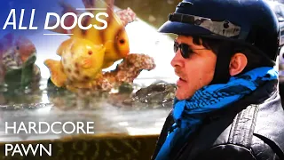 Hardcore Pawn | Bulletproof Gator | S01 E05 | All Documentary