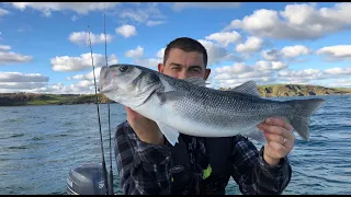 Lure fishing Bass and Pollack - Sea Fishing UK | The Fish Locker