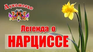 Легенда о Нарциссе - Детская Видео Энциклопедия "Лукоморье"