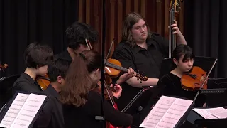 Libertango - Astor Piazzolla Arranged by James Kazik, Eltham High School Senior Strings