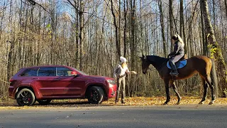 Лучший ДЖИП! Просто СЕКС! Jeep Grand Cherokee SRT Джип Гранд Чероки СРТ. Елена Лисовская. Лиса рулит