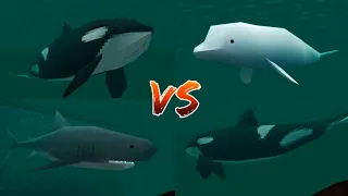 Great White Shark Vs. Killer Whale Vs. Beluga Whale!! - Survival Craft 2