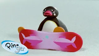 Pingu's Hobbies 🐧 | Pingu - Official Channel | Cartoons For Kids