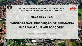 CONEXÃO FEA - Microalgas: Produção de biomassa microalgal e aplicações