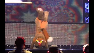 BLFC 2017 Fursuit Dance Competition Highlight Reel