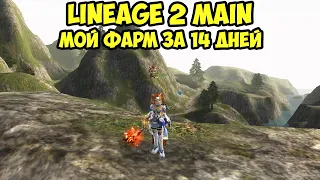 Сколько я нафармил игровым путем за 14 дней в Lineage 2 Main.