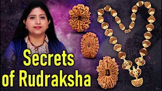 Secrets of Rudraksha | How to wear Rudraksha beads | How to Identify Rudraksha