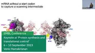 EMBL keynote lecture: A human translational initiation complex suggests two roles for helicase eIF4A