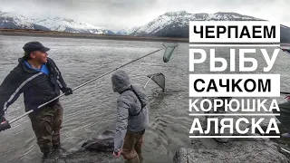 Рыбалка на Корюшку в Аляске Рецепт Приготовления Рыбы Жизнь в Штате Аляска