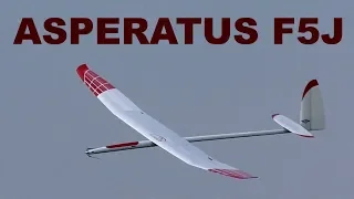 ASPERATUS DNZ gliders, F5J RC glider, 2019