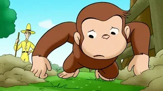 Jorge el Curioso en Español 🐵 Ardilla por un Día 🐵 Mono Jorge 🐵 Caricaturas para Niños