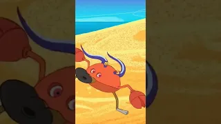 Zig & Sharko - A Lovesick Survivor (S01E11)P5 #zigandsharko #cartoon #trend #shorts