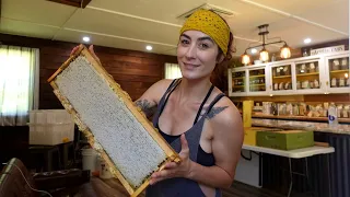 PURE LIQUID GOLD | Honey Harvest |