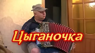 Цыганочка ❤️ Играй гармонь / Ноги сами в пляс идут!