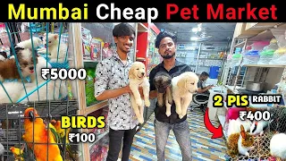 Mumbai Cheap Pet 🐕‍🦺 Market 2023 || Mumbai Pet Market || Crawford Market || Nawaz Shaikh NS Vlog