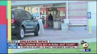 Rattlesnake bites young boy in rural East County