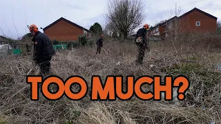 Overgrown Allotment full of Trash (Can This Be Converted Into a Productive Garden?)