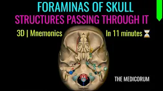 FORAMINAS OF SKULL | MNEMONICS | STRUCTURES PASSING THROUGH IT