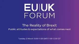 The Reality of Brexit: Public attitudes & expectations of what comes next