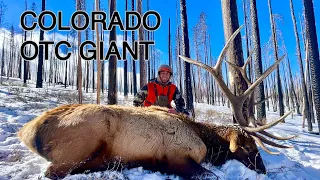 MONSTER OTC COLORADO BULL ELK - 2022 - 330 BULL!  PART 2 (mule deer 3rd rifle season)