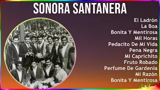 Sonora Santanera 2024 MIX Grandes Exitos - El Ladrón, La Boa, Bonita Y Mentirosa, Mil Horas