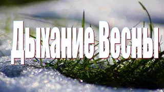 Дыхание весны. Поздравление с началом весны