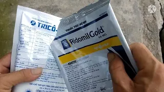 Hiểu kỹ để sử dụng đúng ridomil gold và nấm trichoderma cho hiệu quả tối ưu nhất