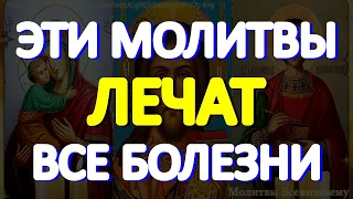 Эти молитвы лечат все болезни. Сильная церковная вычитка на исцеление