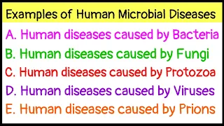 Examples of Human Microbial Diseases|Diseases caused by Bacteria|Fungi|Protozoa|Viruses|Prions|