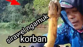 Cerita warga memang nyata,belut nya banyak dan besar besar!! Sukabumi part 2