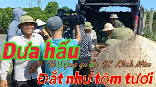 Dưa hấu đắt hàng tranh nhau mua