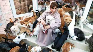 Maryam al-balooshi-Meet the woman who has 500 cats