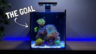 Adding the First Corals to my Nano Reef Tank