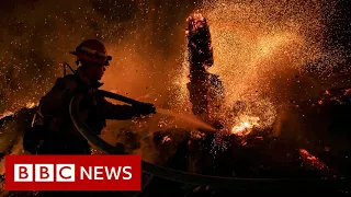 Weather disasters over past five decades 'have increased five-fold' - BBC News