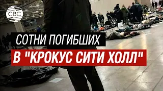 Причастность ИГИЛ к теракту в Москве - фейк