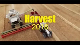 Claas Lexion 760 / Harvest 2018