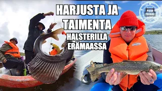 Pohjoinen Kalastusseikkailu osa 2 :Taimen, Harjus ja Nuotiotunnelmia🔥