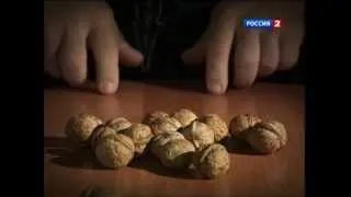Denis Cyplenkov VS Walnuts: The Strongest hands of the world