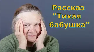 Рассказ Светланы Тимохиной "Тихая бабушка". Авторское чтение