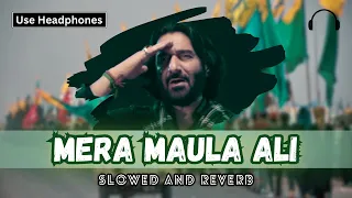 Mera Maula Ali | Slowed and Reverb | Nadeem Sarwar #noha #ns2023 #slowedandreverb