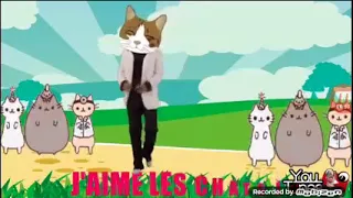 Musique j aime les chat ( de youtunes )