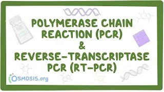 Polymerase chain reaction - an Osmosis Preview