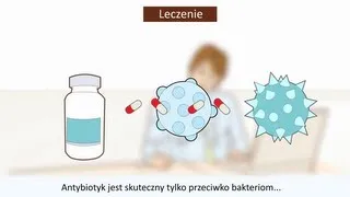 Bakterie i wirusy: czym się różnią?