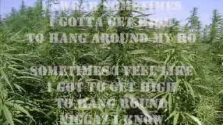 THP - bin laden weed by 3 6 Mafia.flv