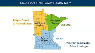 Otto: MN DNR Statewide Forest Health Update