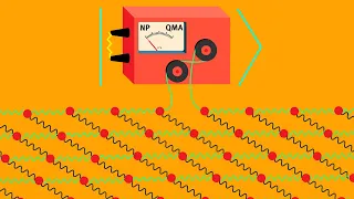 Learning Shallow Quantum Circuits and Quantum States Prepared by Shallow Circuits in Polynomial Time