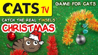 GAME FOR CATS 🎄 Christmas Tinsels 🪩 Bulbs [CATS TV] 60fps 🕒 3 HOURS